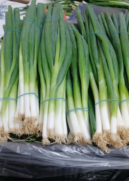 Spring Onion